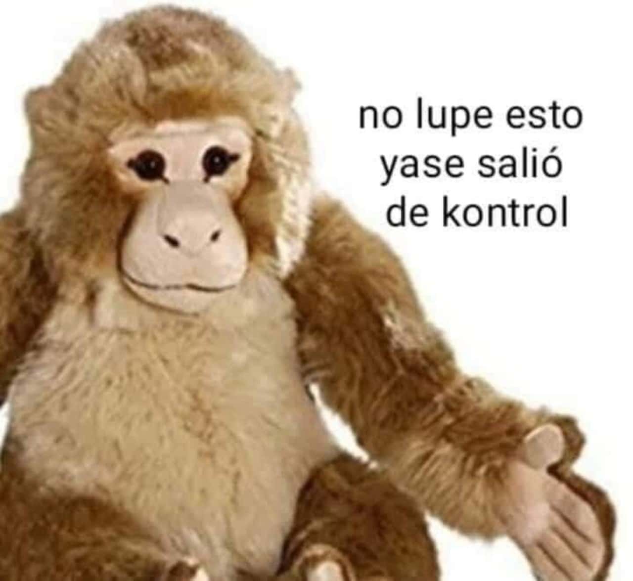 memes lupe joakín 