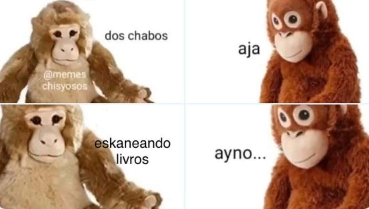 origen memes lupe y joakín 