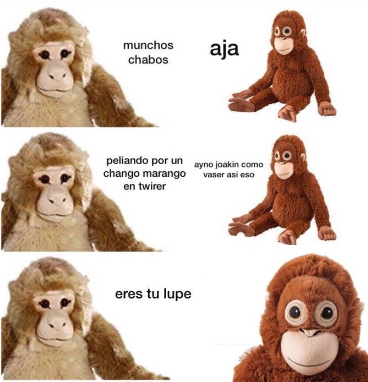 memes lupe y joakín
