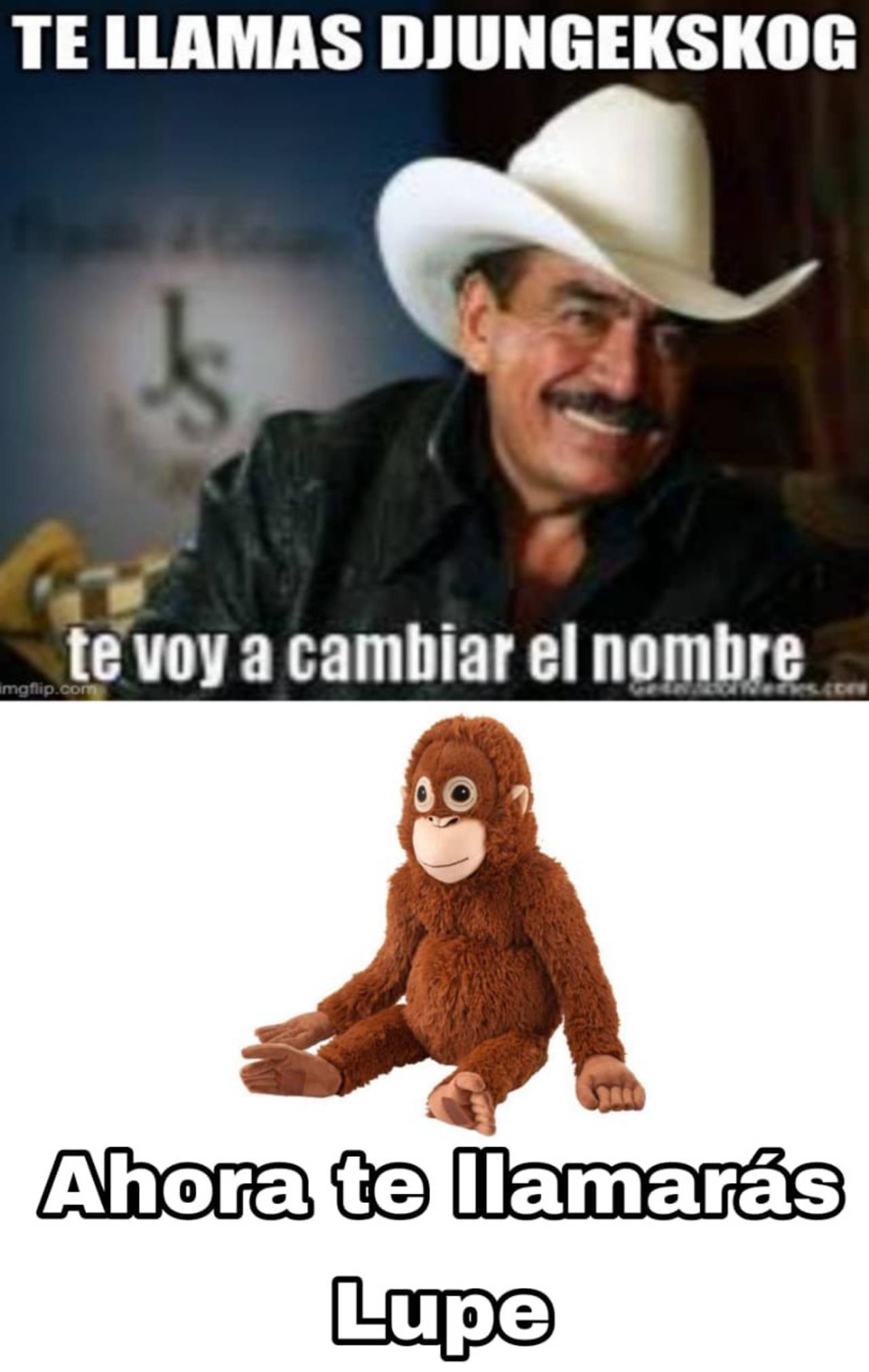 memes lupe y joakín changos