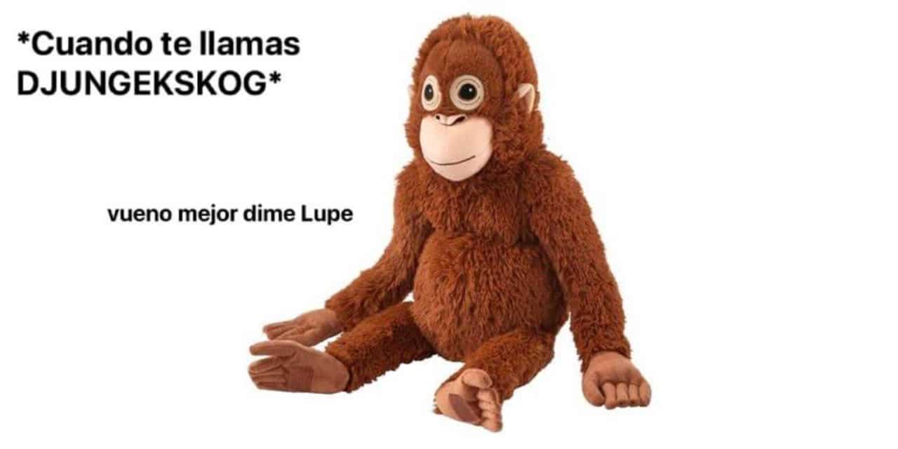 mejores memes lupe y joakín changos