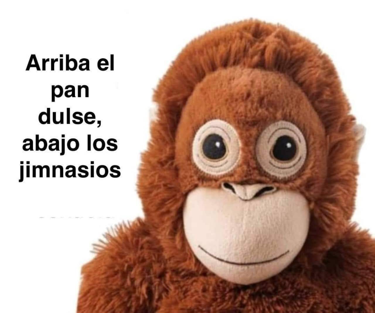 memes changos lupe y joakín