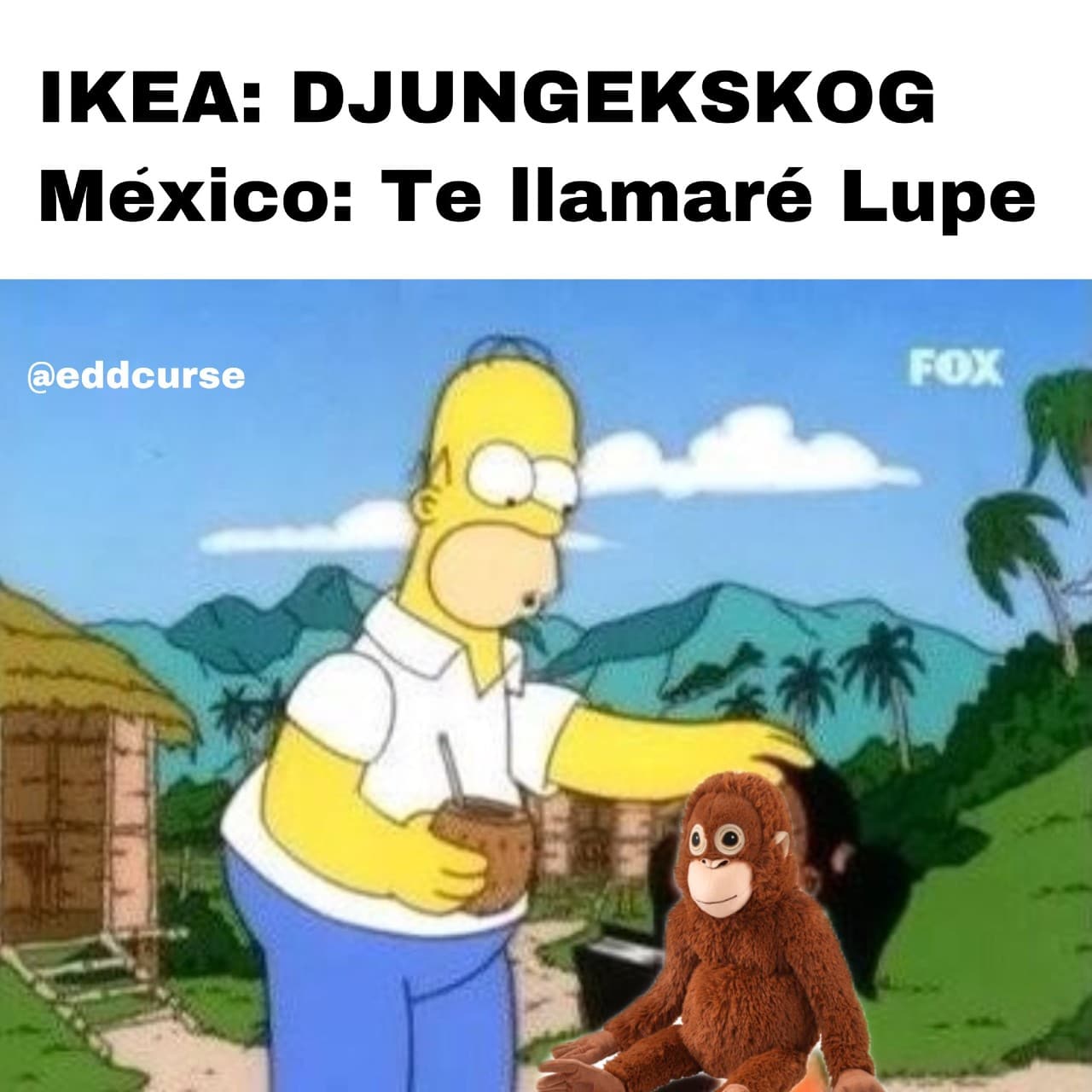 memes lupe y joakín origen