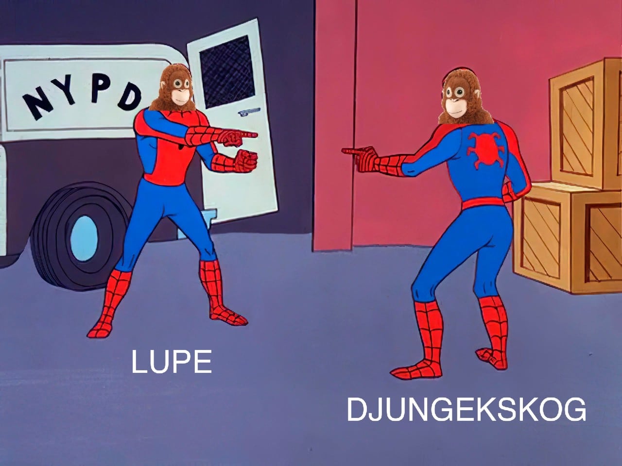 lupe y joakín memes