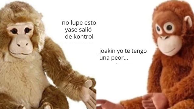 Los mejores memes de Lupe y Joakín para entrarle al descontrol total