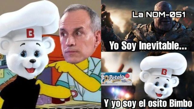 Memes del osito Bimbo