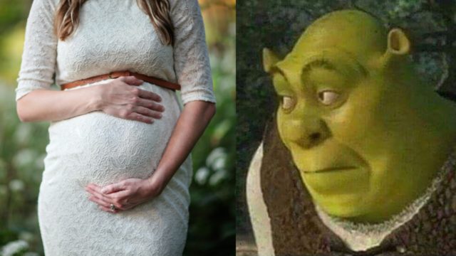 Mujer embarazada meme Shrek