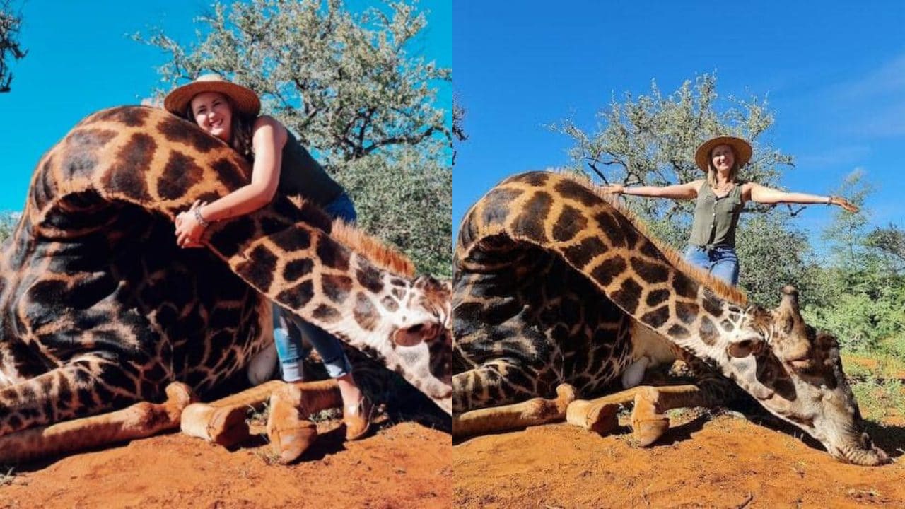 Mujer posa con jirafa muerta