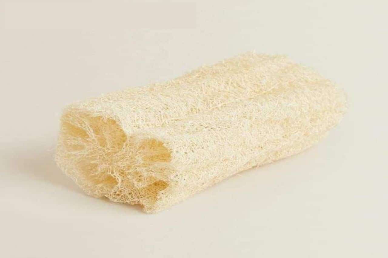 Estropajo a 300 pesos