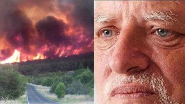carne asada provoca incendio meme seÃ±or