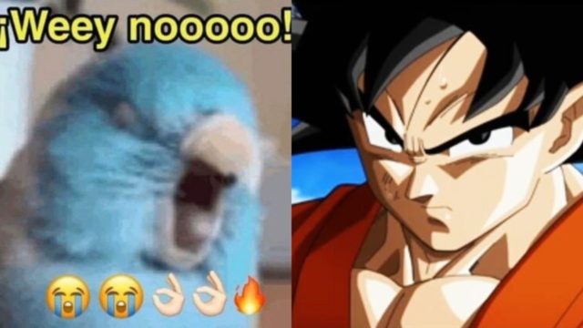 ProhÃ­ben Dragon Ball en EspaÃ±a por no ser inclusivo y daÃ±ar a la sociedad