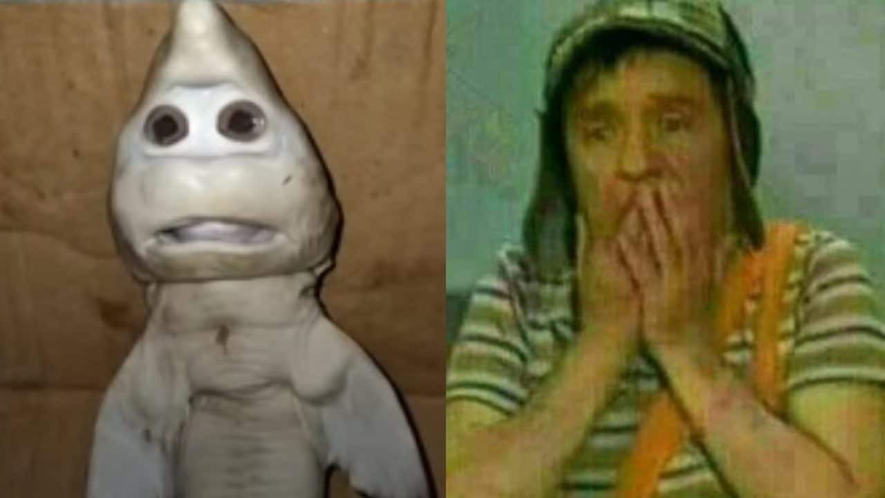 Tiburon cara bebÃ© meme chavo