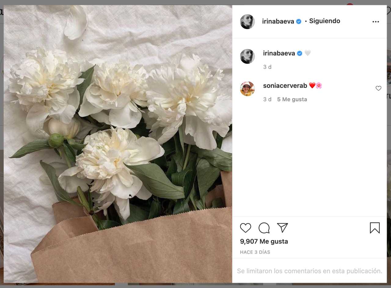 Las flores blancas que Irina Baeva podría usar en su boda