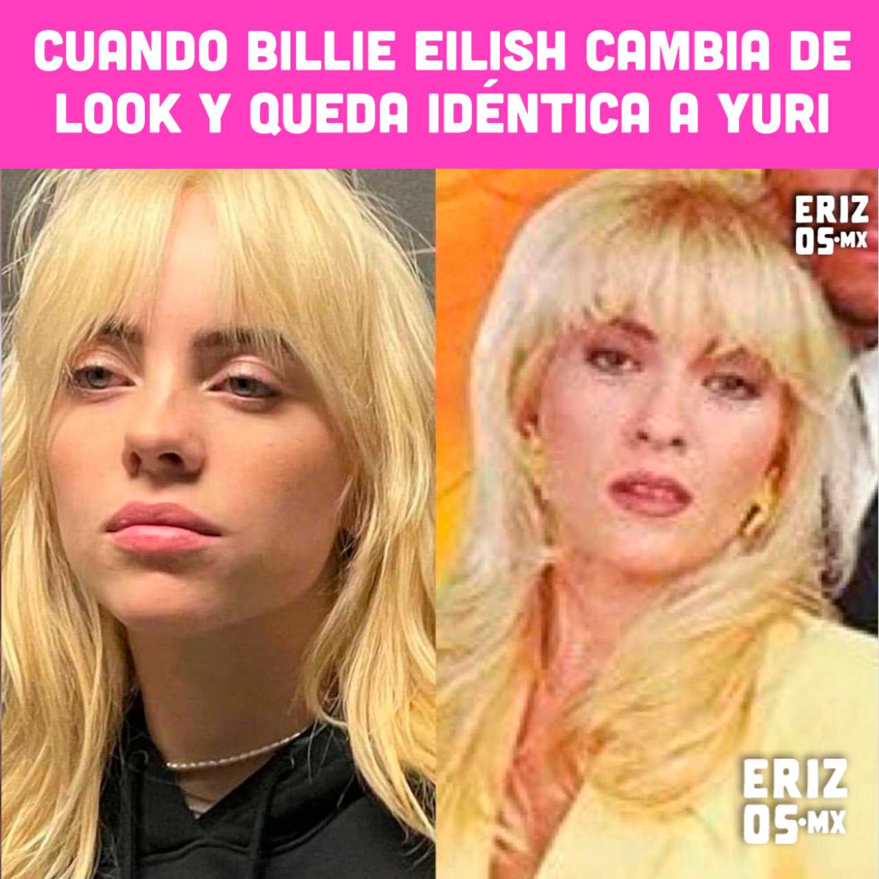 Meme de Billie Eilish igual a Yuri