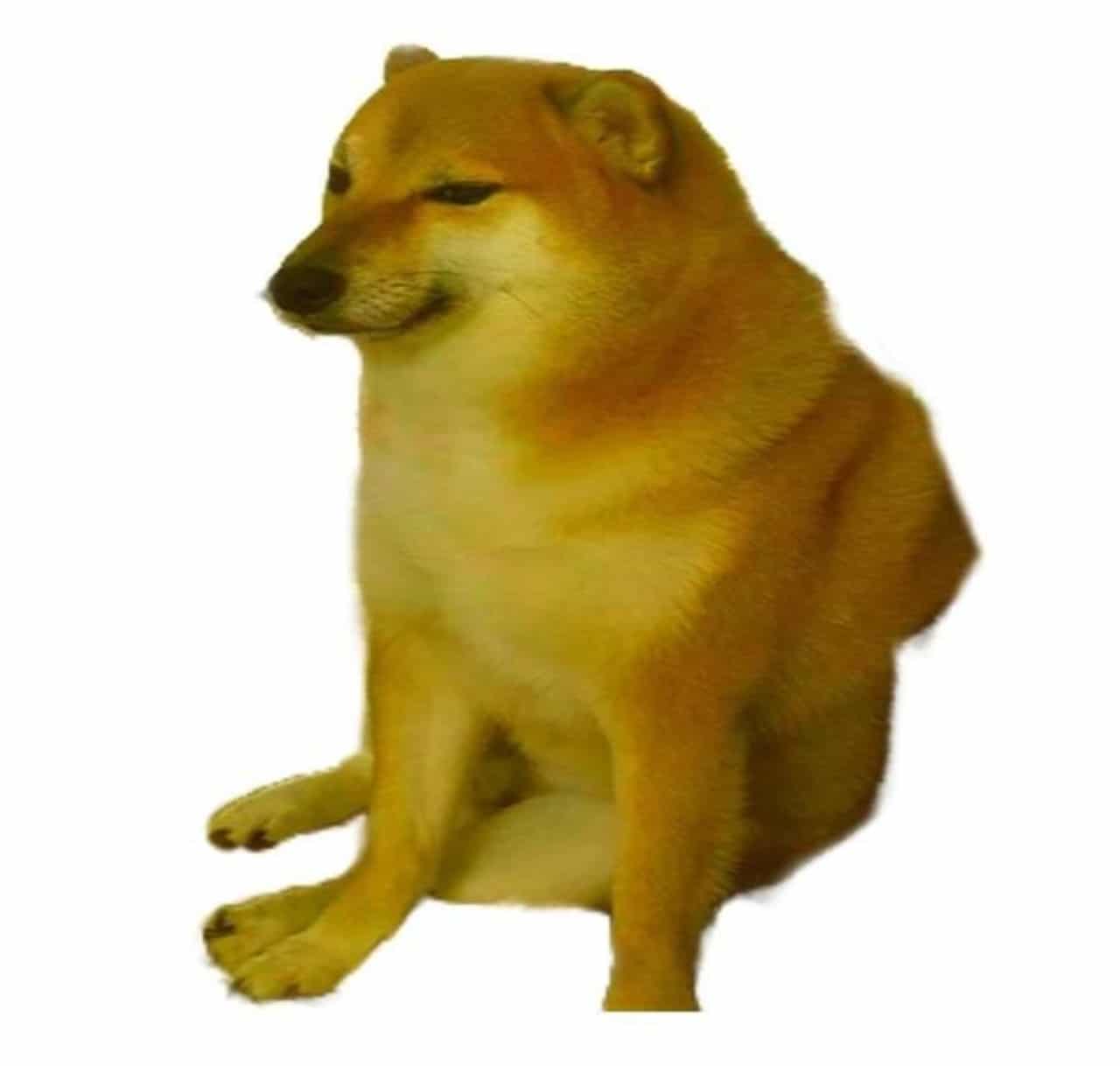 Meme de cheems