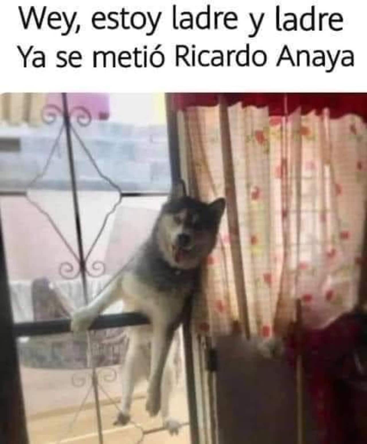 Memes de Ricardo Anaya en tu casa a criticar