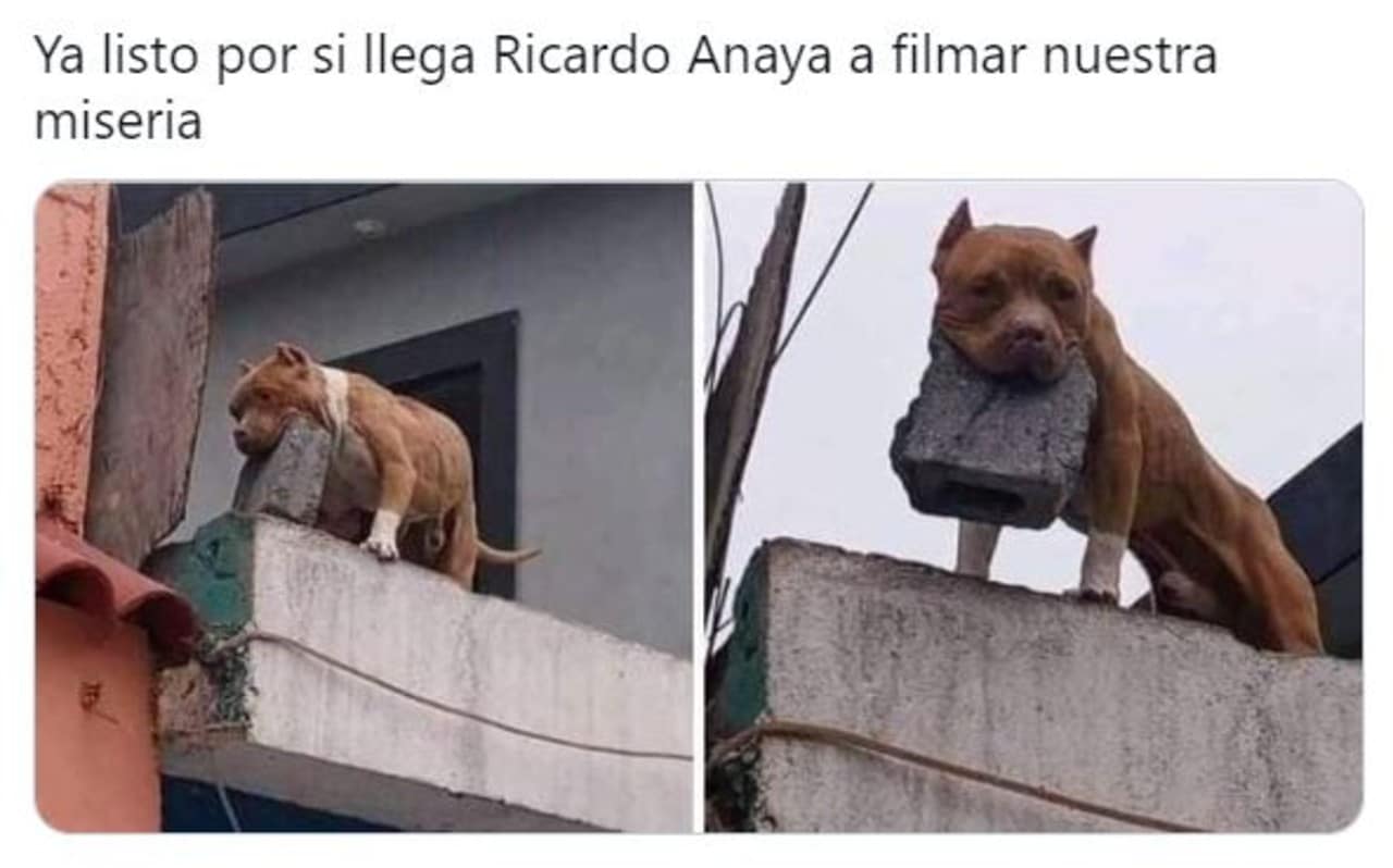 Los Memes de Ricardo Anaya en tu casa
