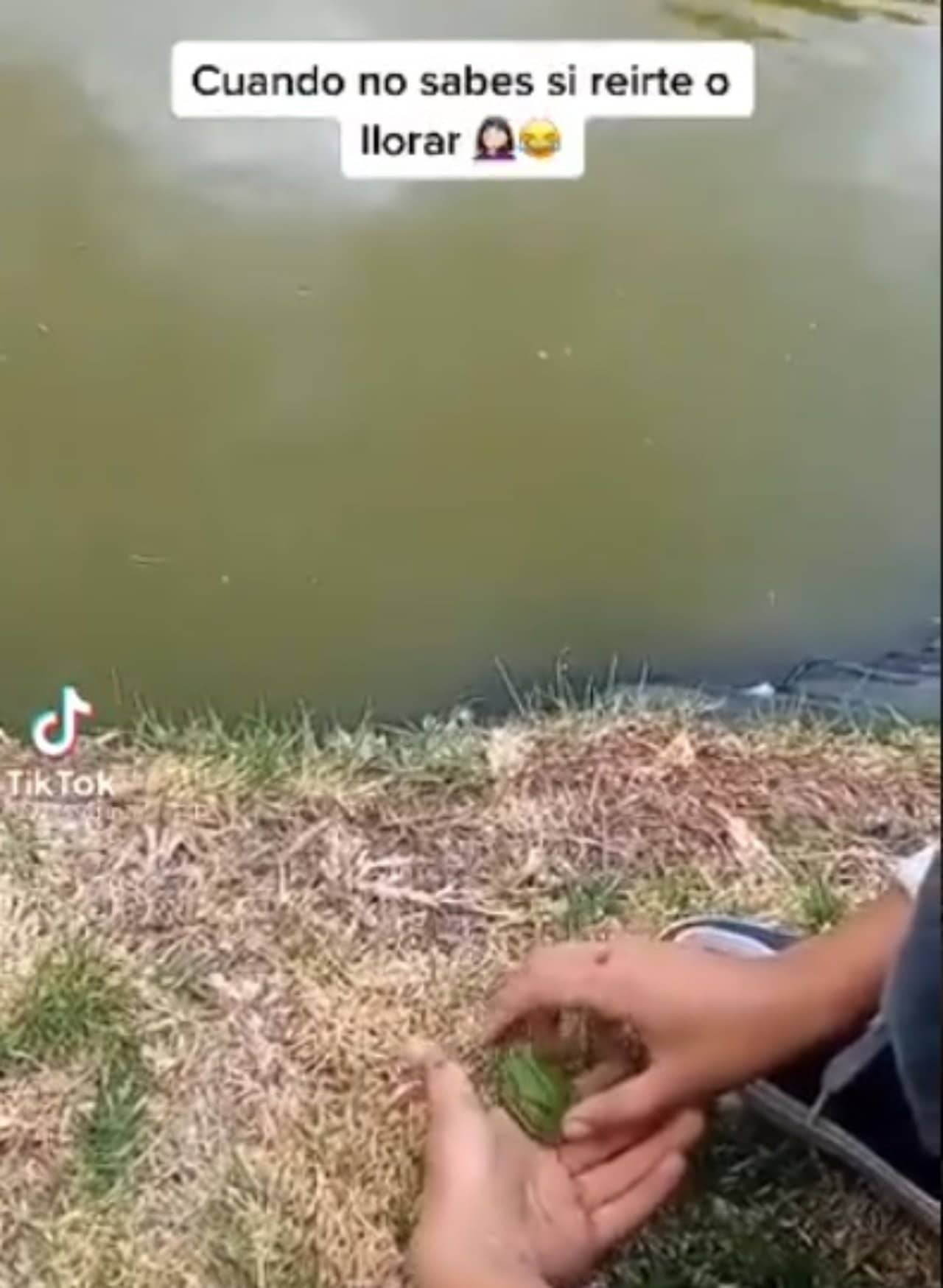 Niño libera rana y pato se la come