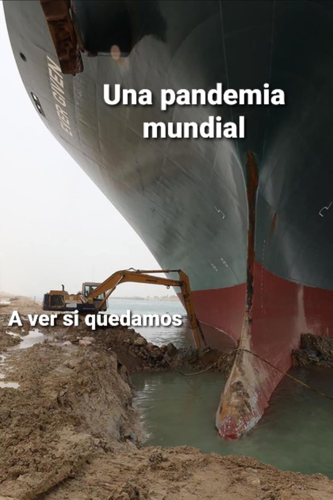 Odiamos las pandemias 