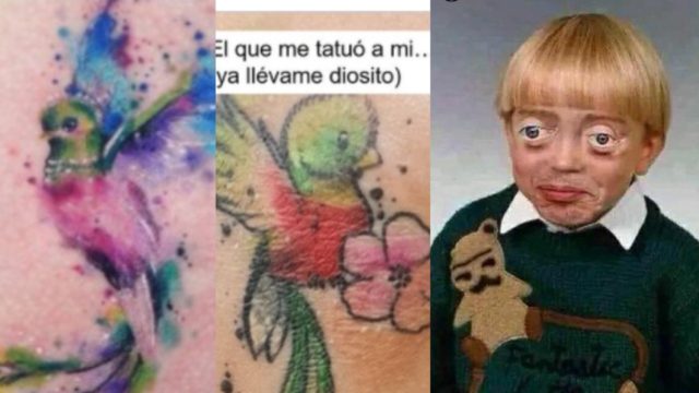 tatuaje quetzal canario meme
