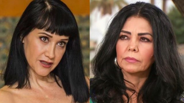 Susana Zabaleta defiende a Vicente Fernández y arremete contra Lupita Castro