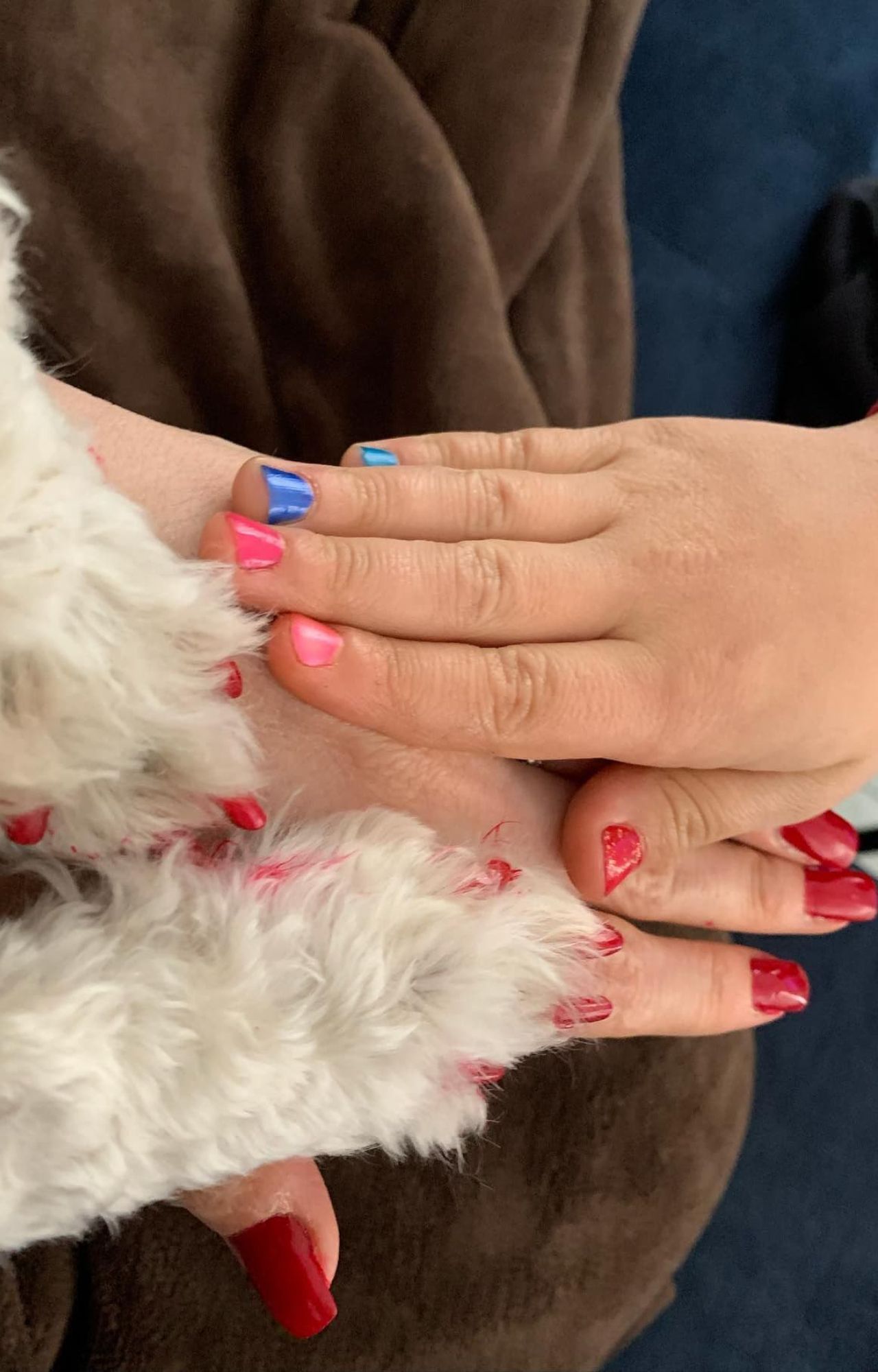 La uñas del hijo de Ariadne