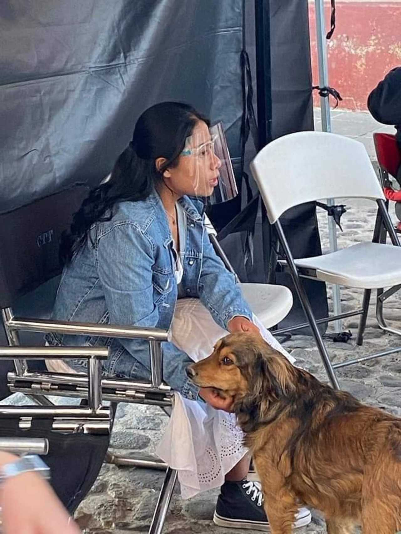 Yali mostró su amor por un perrito callejero en las filmaciones de su nueva película