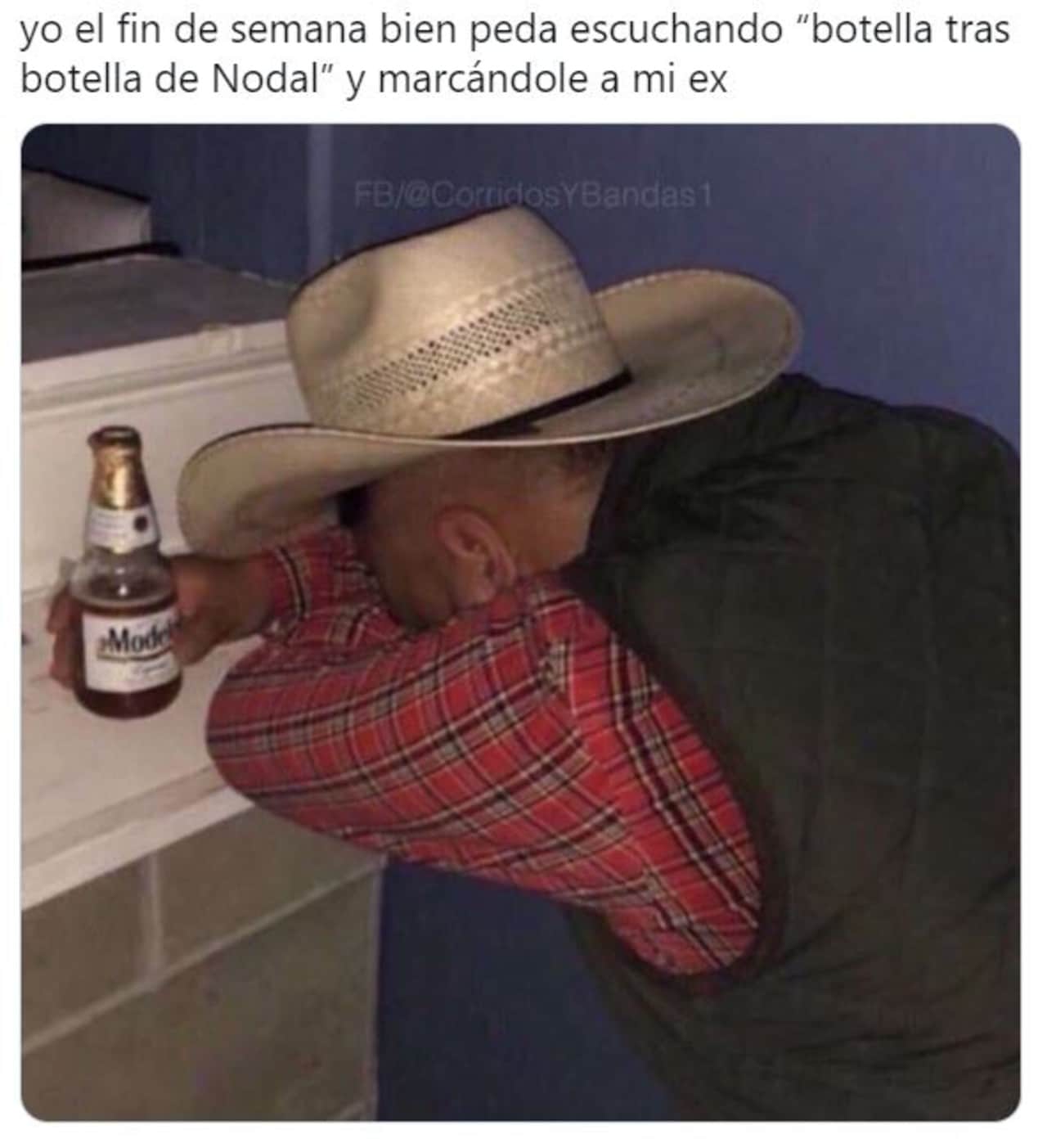 Botella tras botella memes nodal gera mx