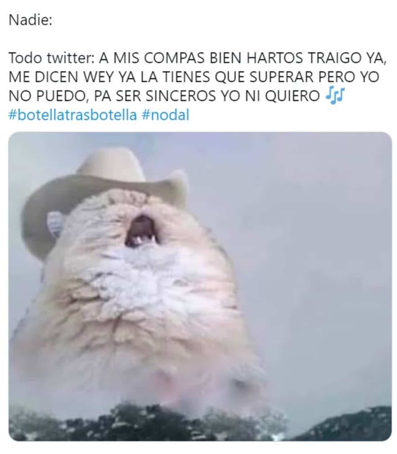 mejore memes botella tras botella canción nodal gera mx