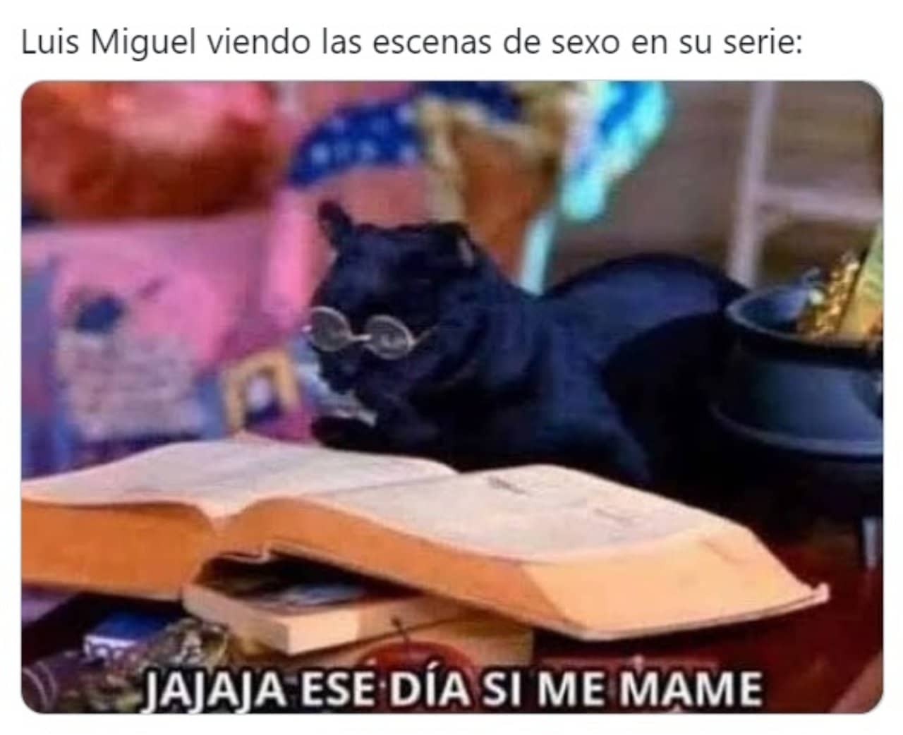 Meme gato de Sabrina