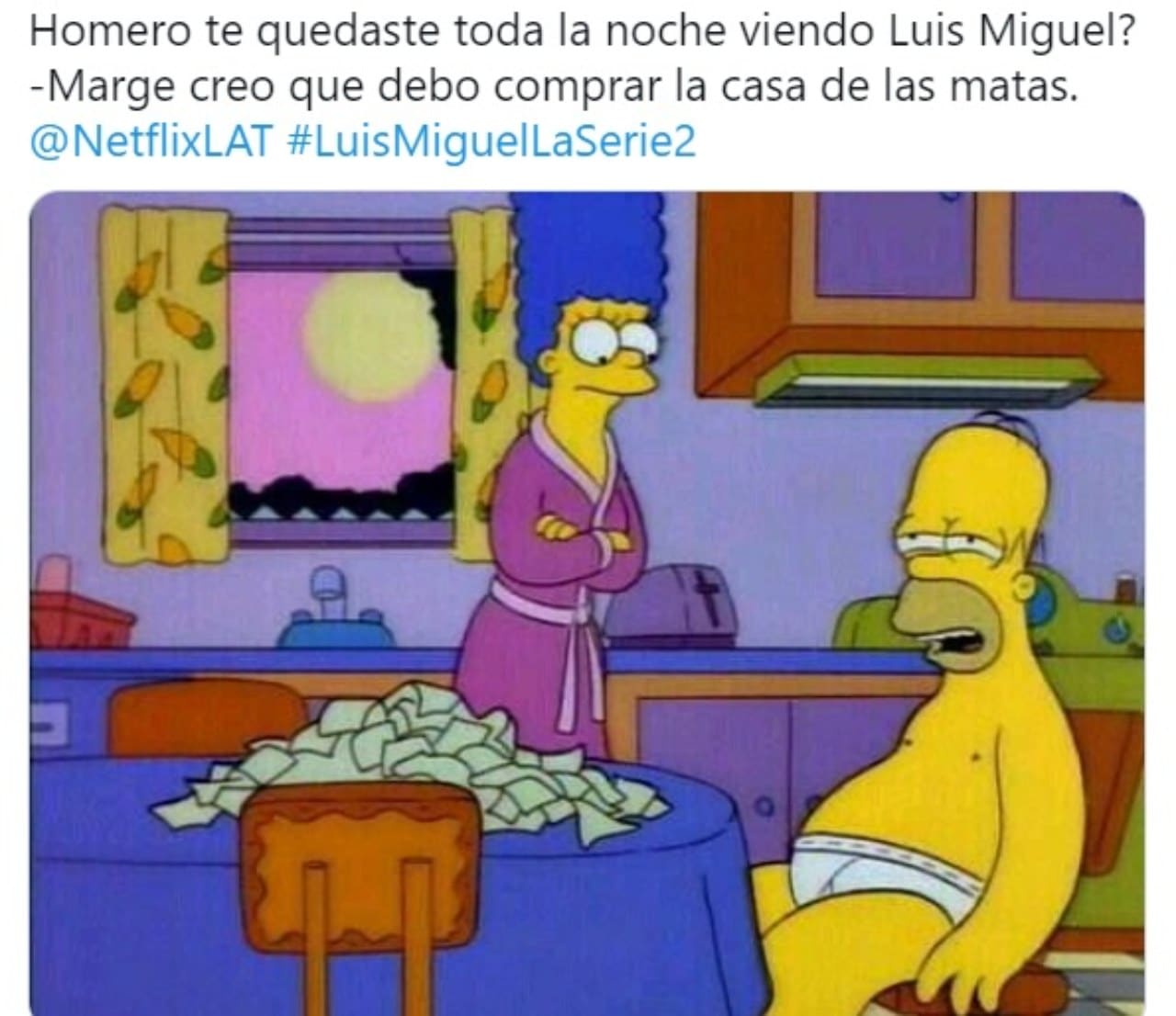 Meme Simpson Luis Miguel La Serie