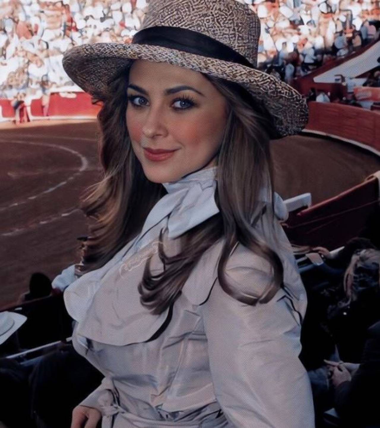 Luis Miguel Aracely Arámbula pensión hijos