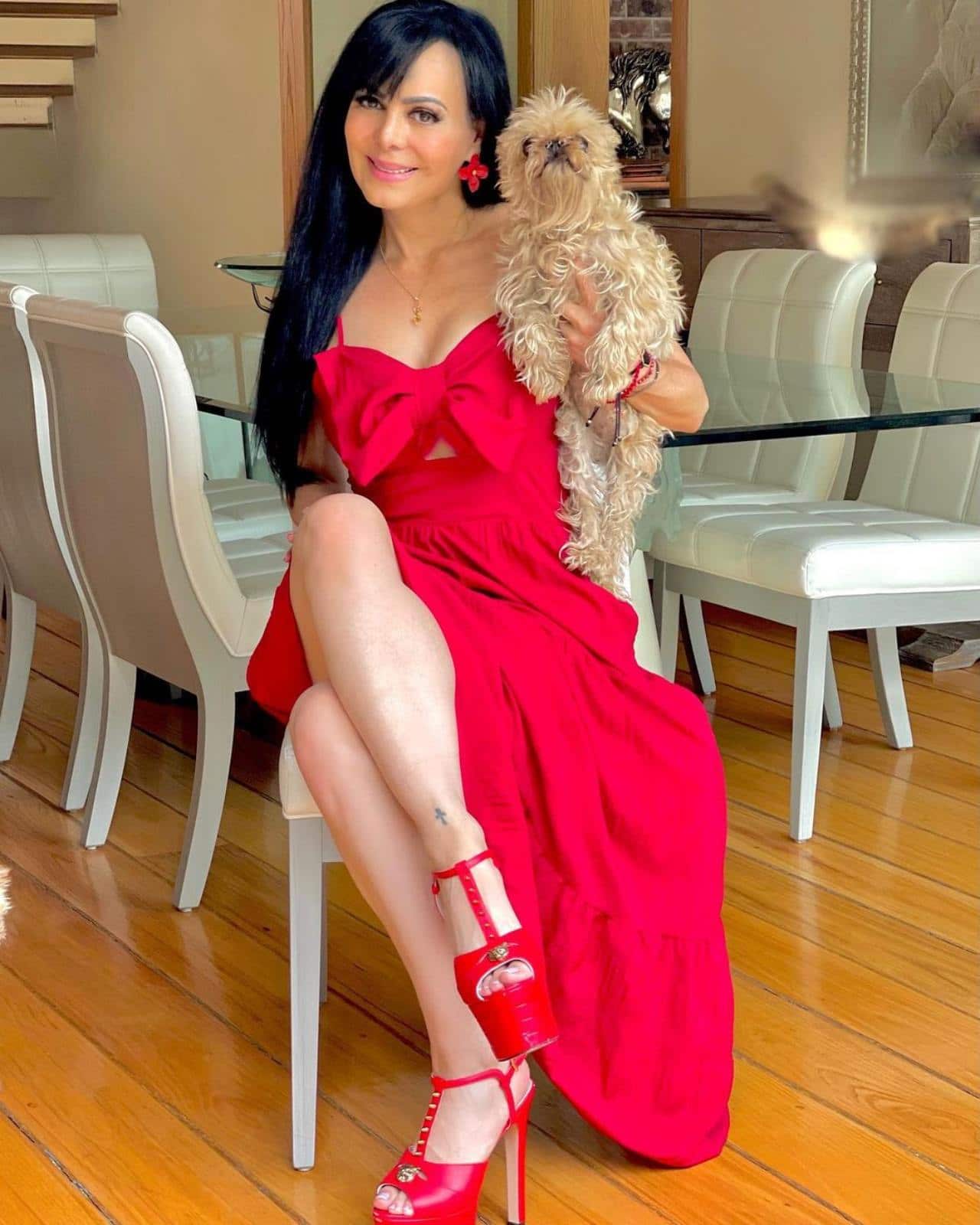 Maribel Guardia y su perro limpio