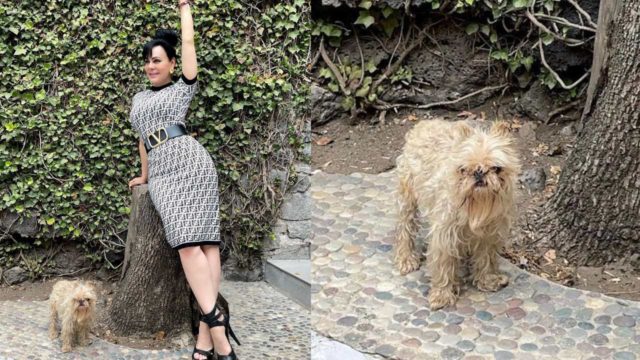 Maribel Guardia es criticada por tener a su perro "mugroso"