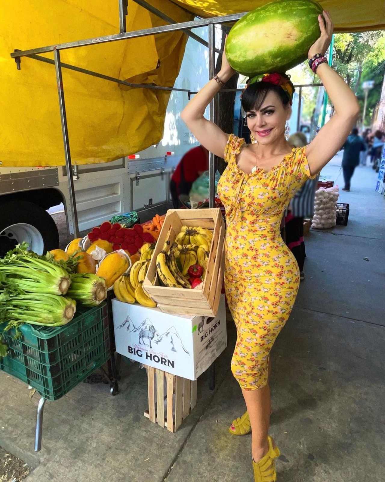 Maribel Guardia frutera la alburean