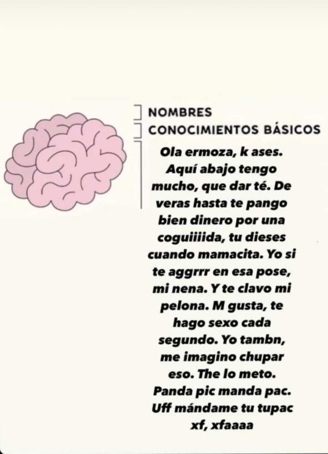 Memes de corchetes con el cerebro humano