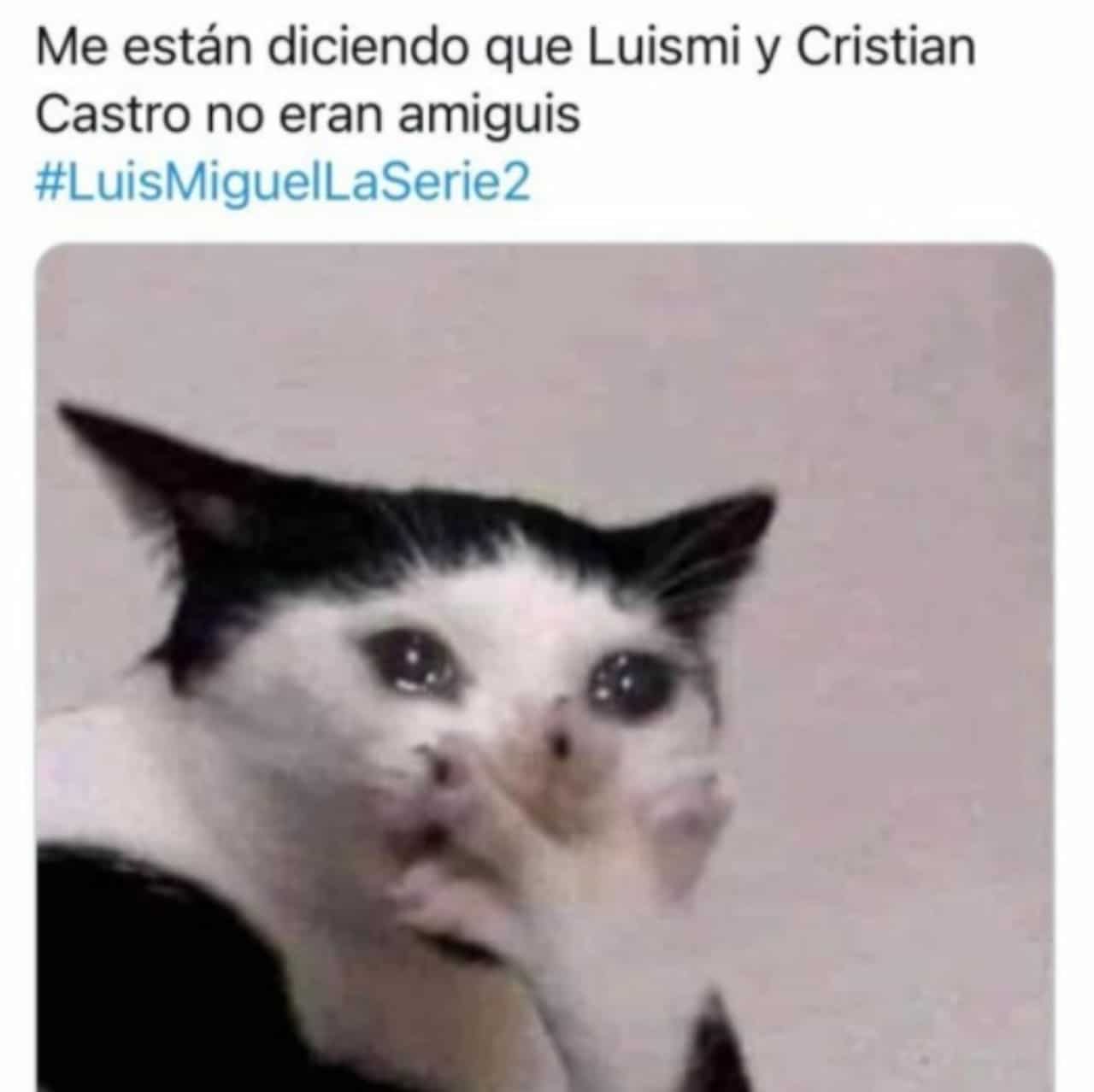 luis miguel cristian castro meme