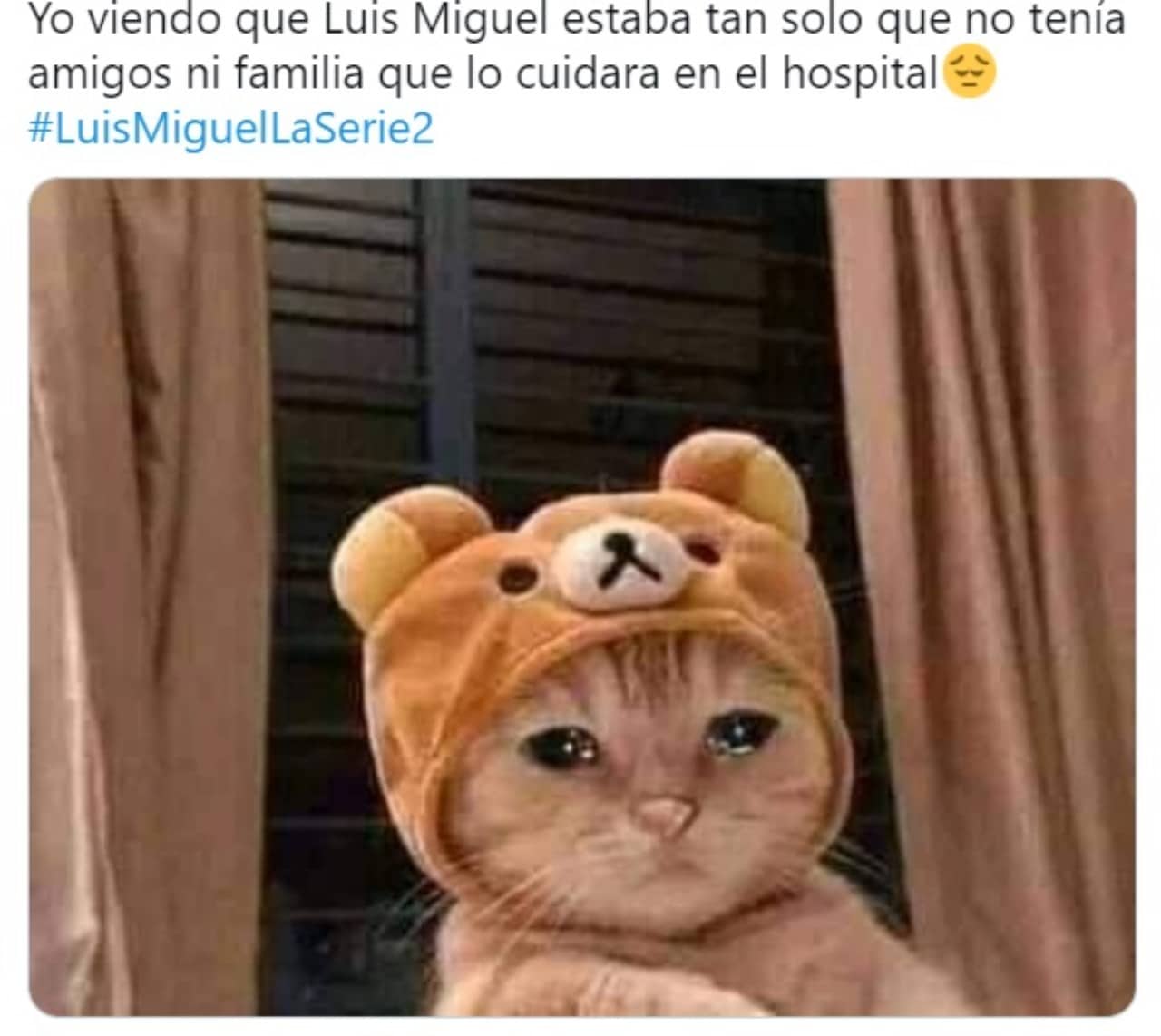 Meme gatito con sombrero
