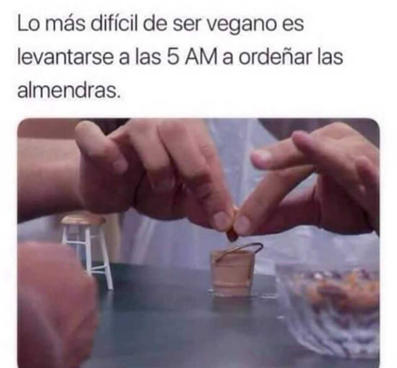 Meme vegano