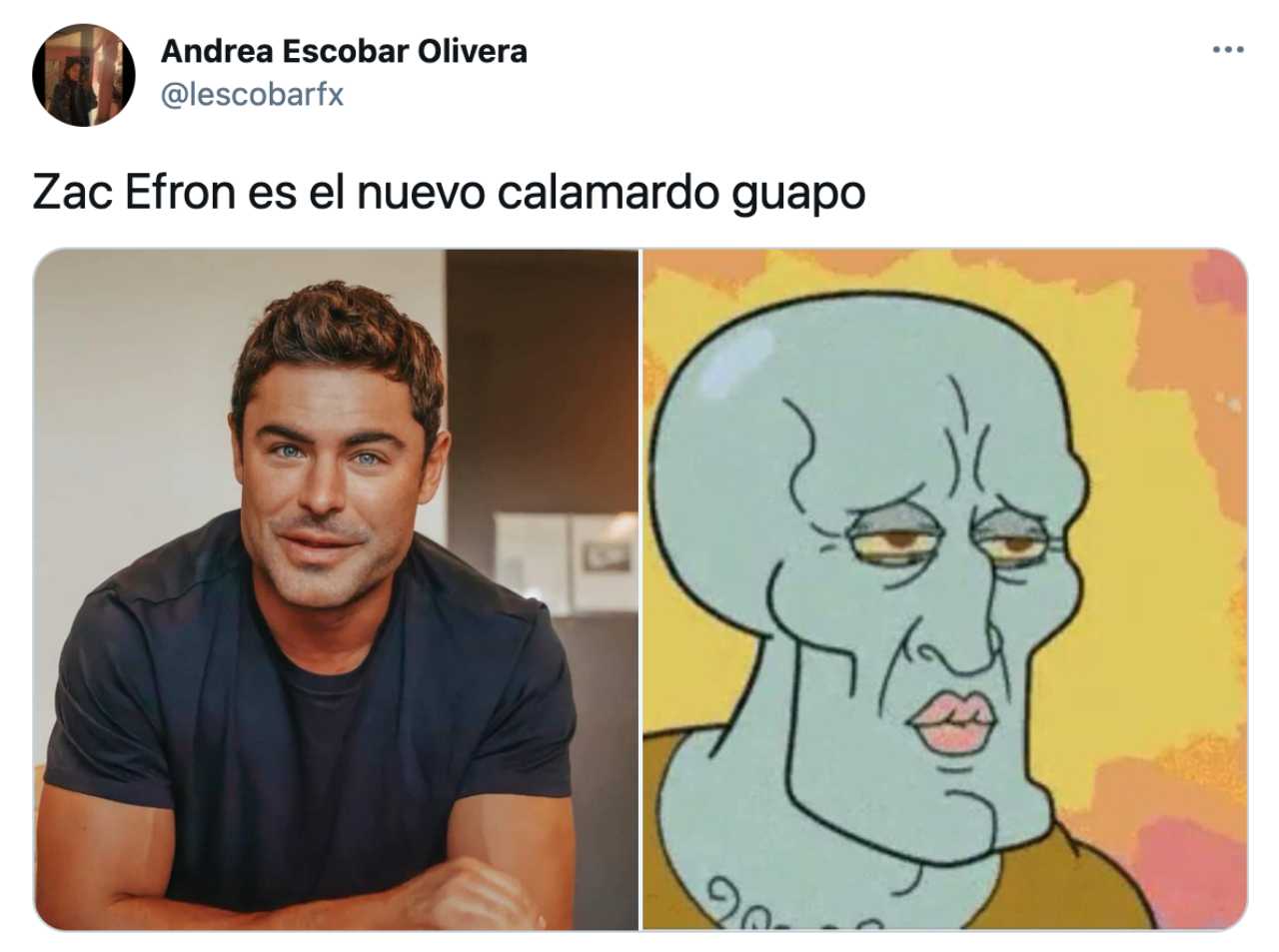 Meme de Zac Efron como Calamardo