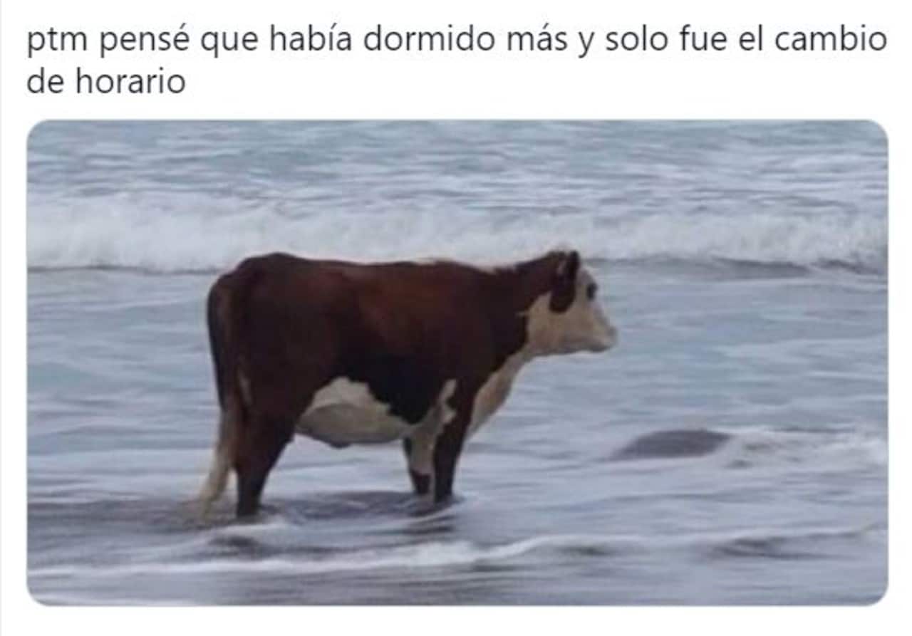 memes del cambio horario verano 2021 viral
