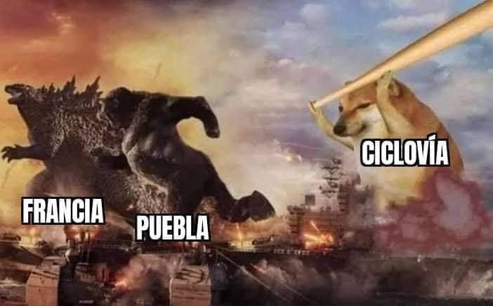 poblanos ciclovía memes