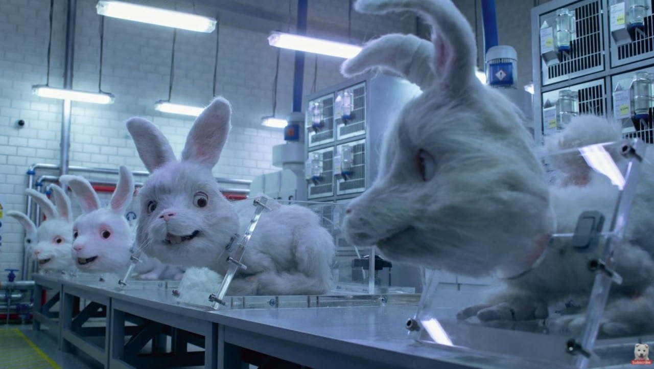 Save Ralph campaña conejo pruebas cosméticas animales