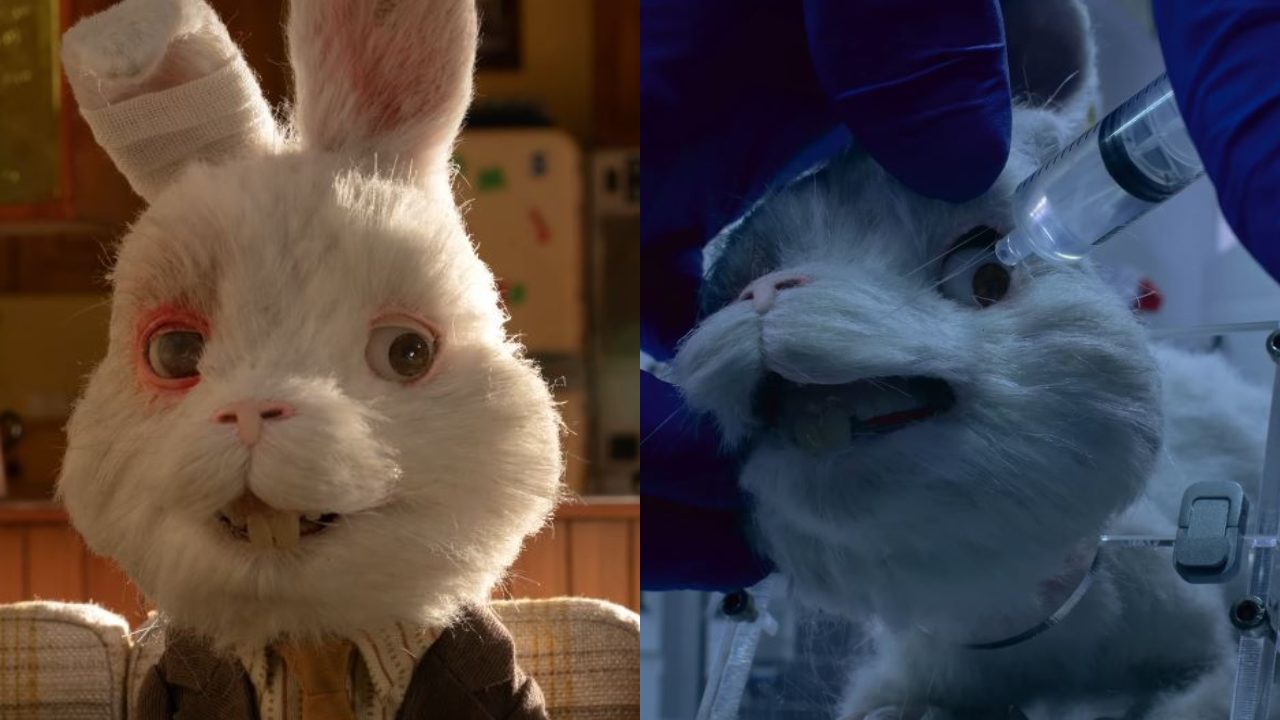 'Save Ralph', la campaña que muestra la crueldad de las pruebas cosméticas en animales
