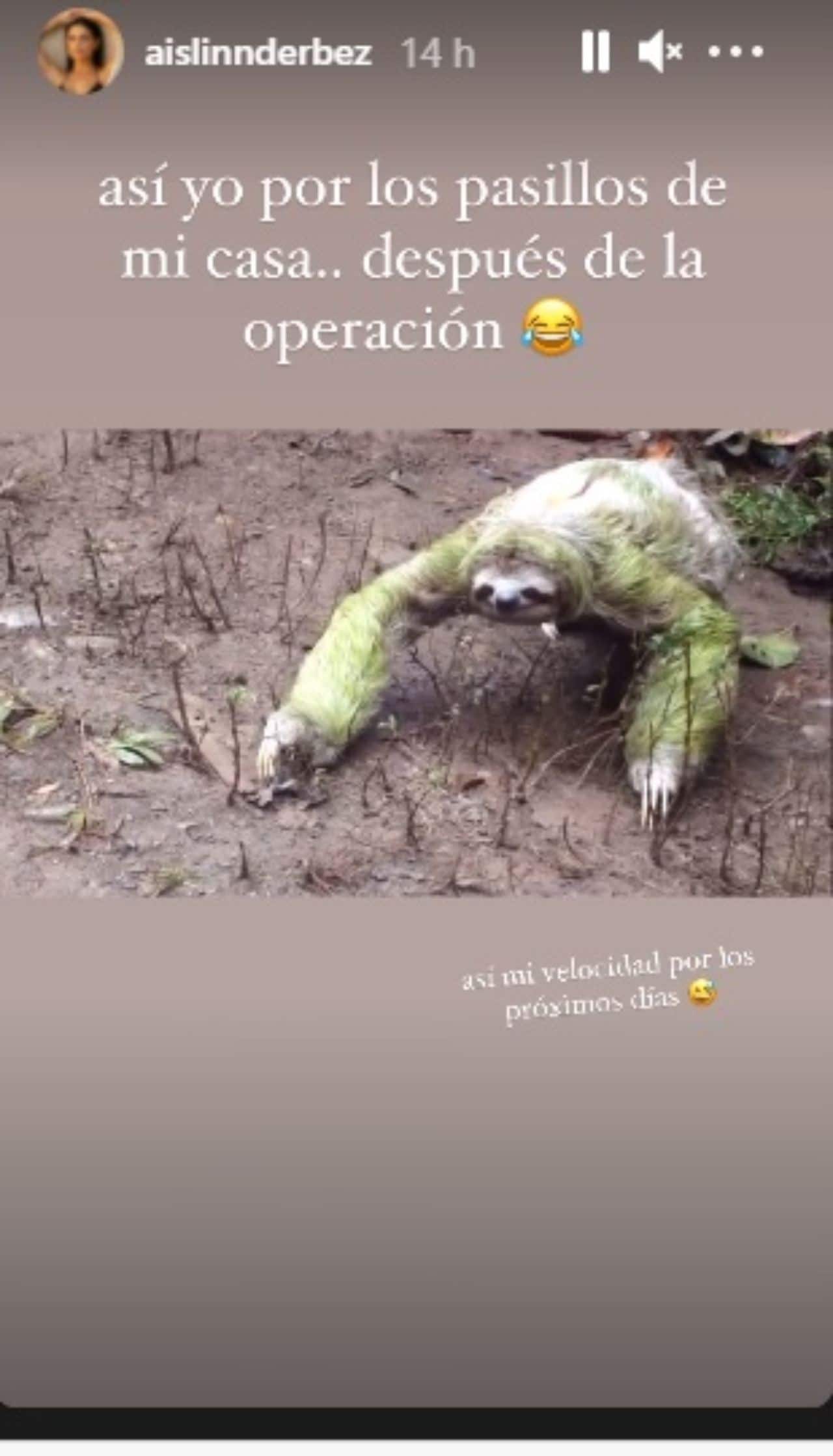 Aislinn Derbez se compara con perezoso