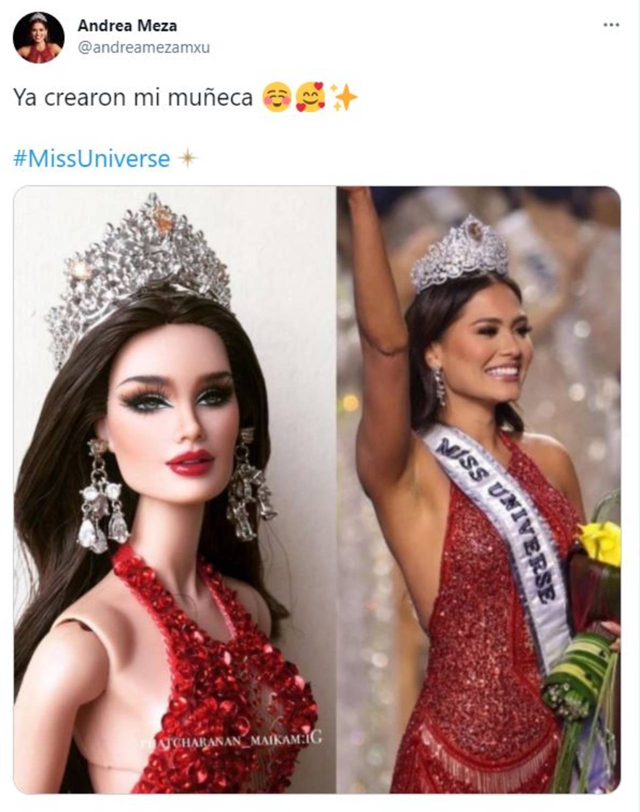 Miss Universo Andrea Meza muñeca blanqueamiento