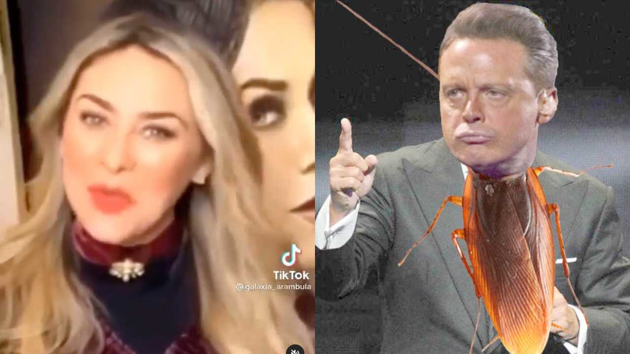 Aracely Arámbula manda fuerte indirecta a Luis Miguel