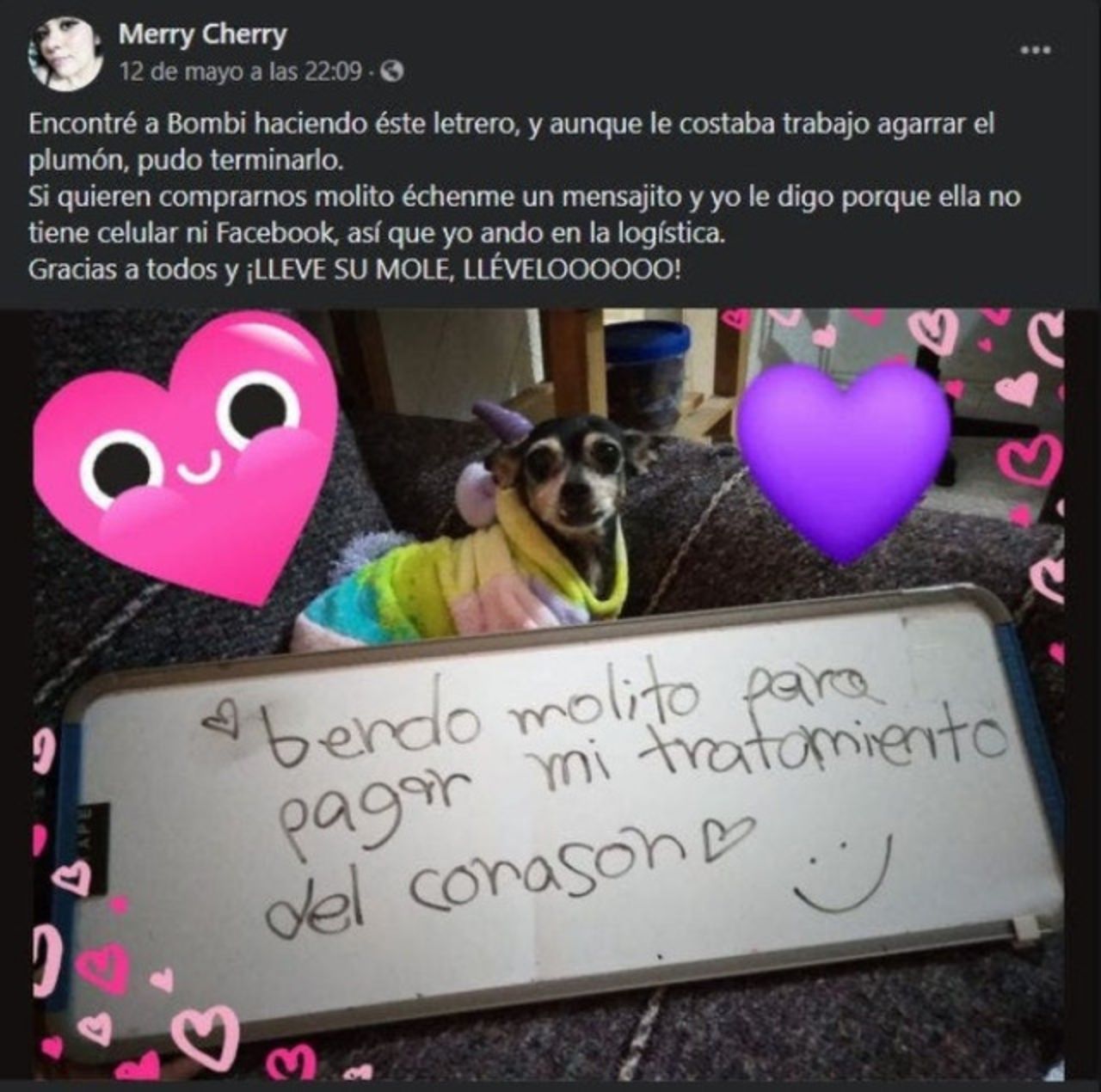 Perirta vende mole pagar tratamiento corazon