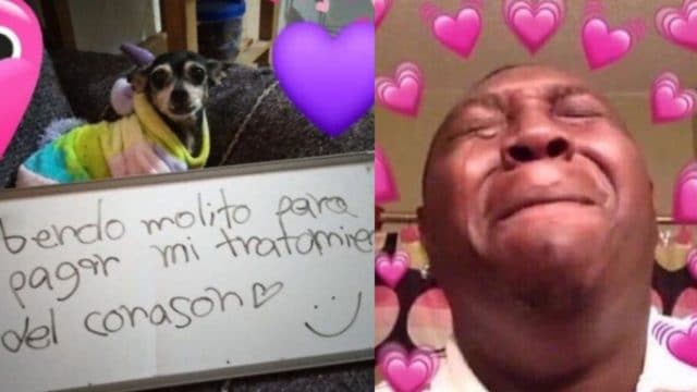 Bombi vende mole meme llorando