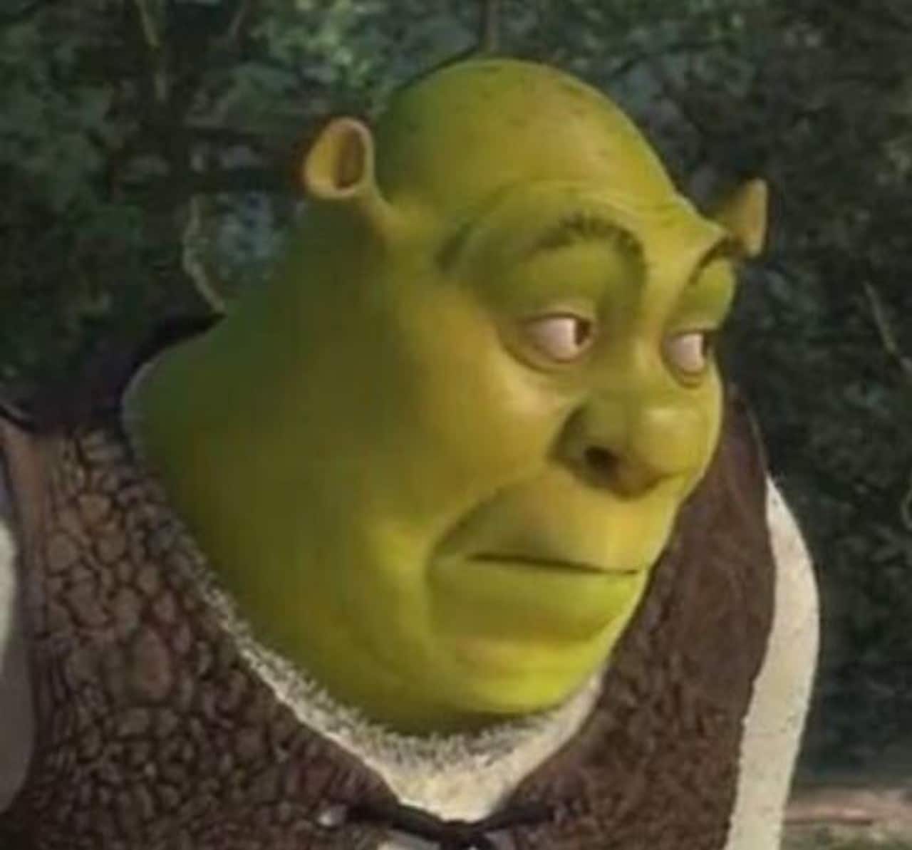 meme de shrek cara de wtf